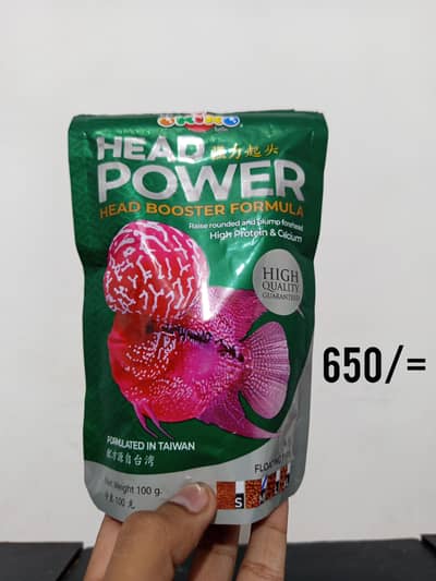 high protein Use Okiko Feed available in reasonable price