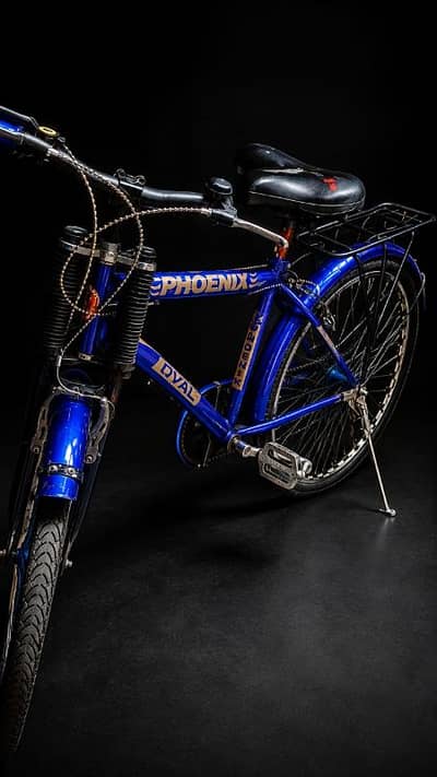 Best phoenix dval bicycle