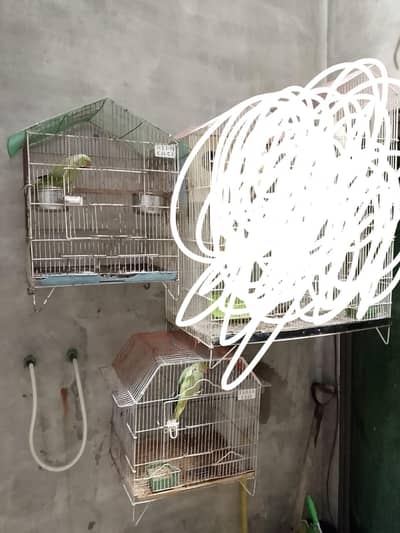 only 2 cage for sale