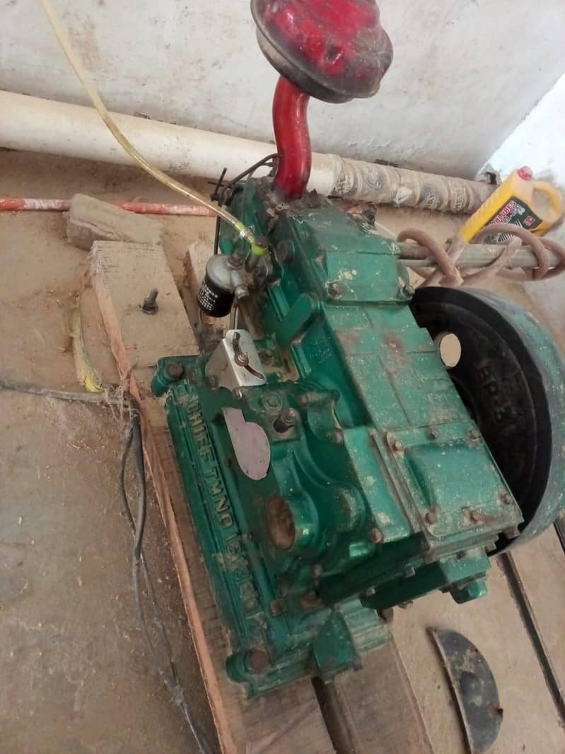 peter for sell 1