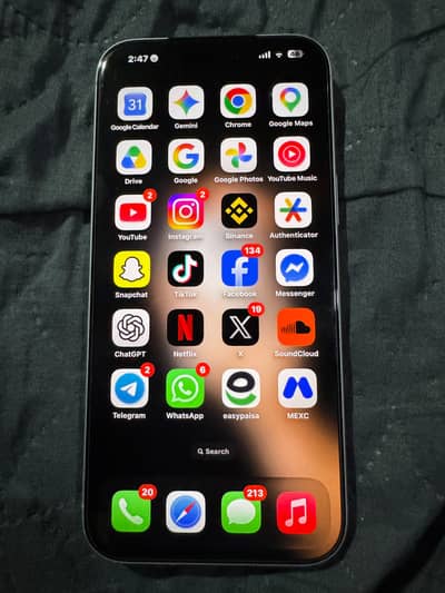 Apple iPhone 17 Pro Max