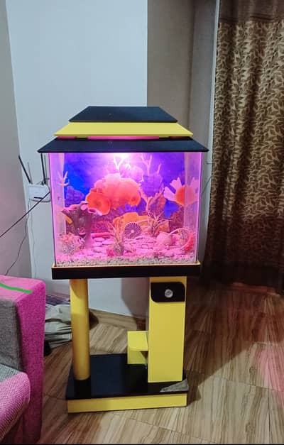 Fish aquarium