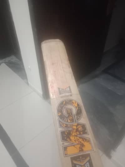 cricket bat