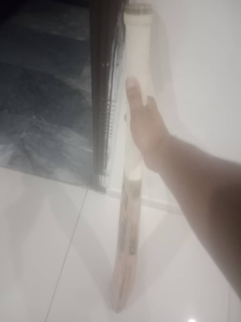 cricket bat 1