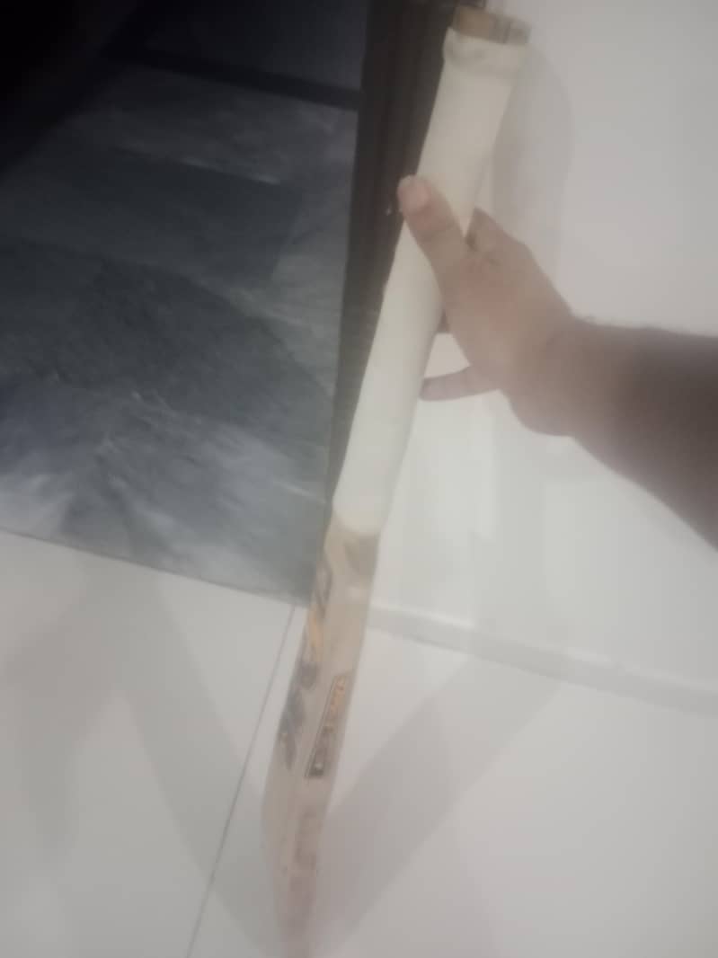 cricket bat 2
