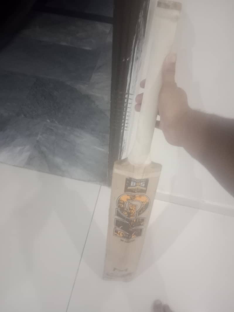 cricket bat 3