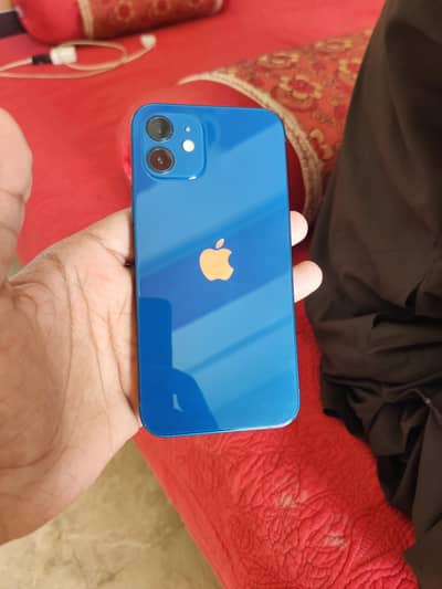 iPhone 12 mini