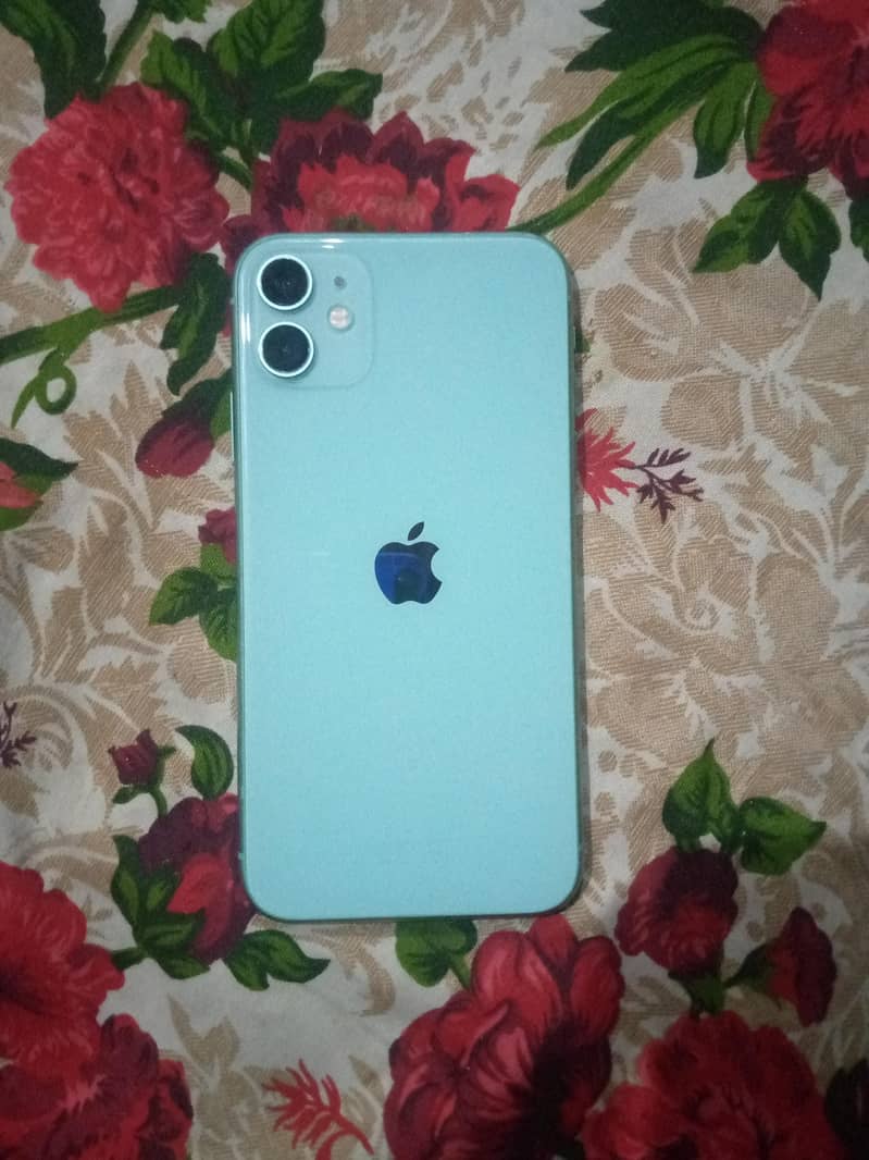 Apple iPhone 11 0