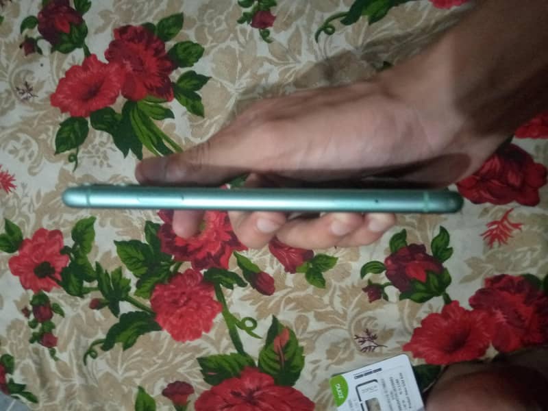 Apple iPhone 11 2