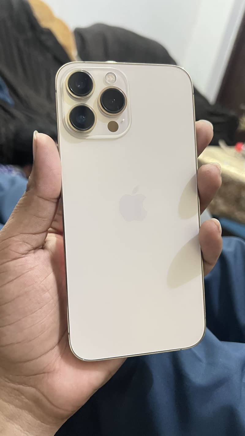 Apple iPhone 13 Pro Max 0