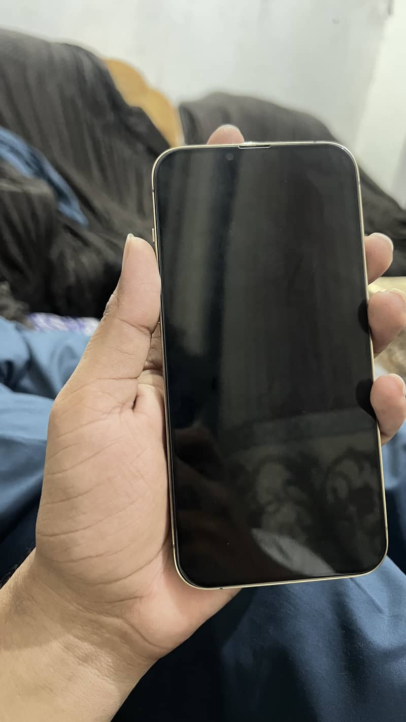 Apple iPhone 13 Pro Max 1