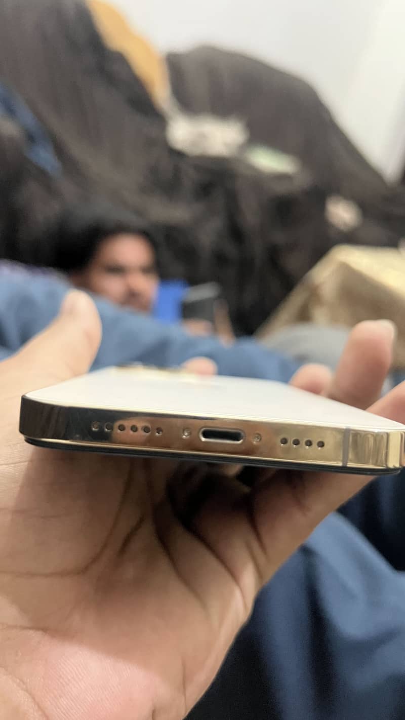 Apple iPhone 13 Pro Max 2