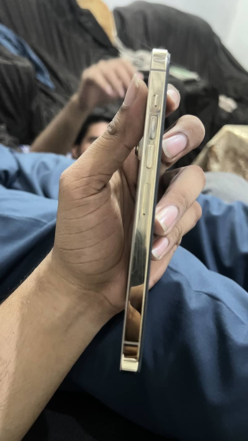 Apple iPhone 13 Pro Max 3