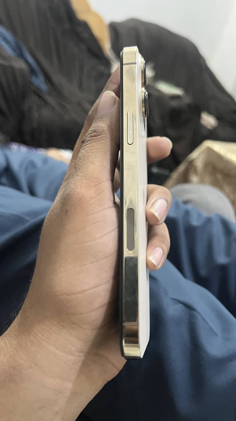 Apple iPhone 13 Pro Max 4