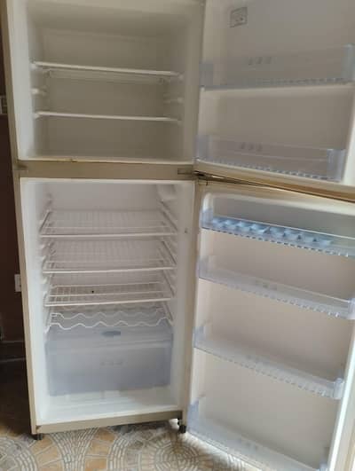 Full size refrigerator
