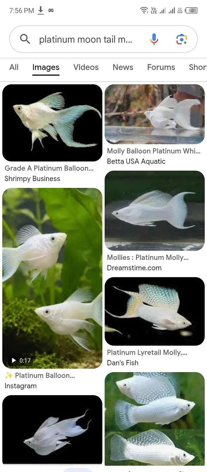 fishes available — photo 5