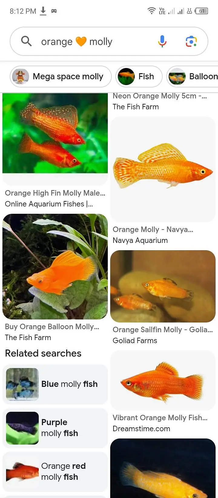 fishes available — photo 6