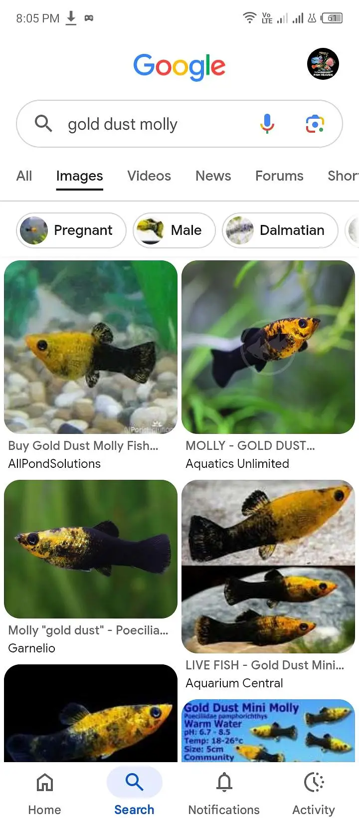 fishes available — photo 8