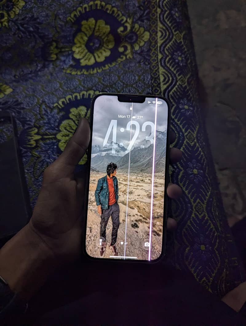 Apple iPhone 13 Pro Max 1