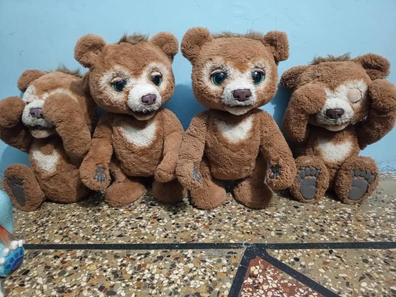 chubby the curious bear 1