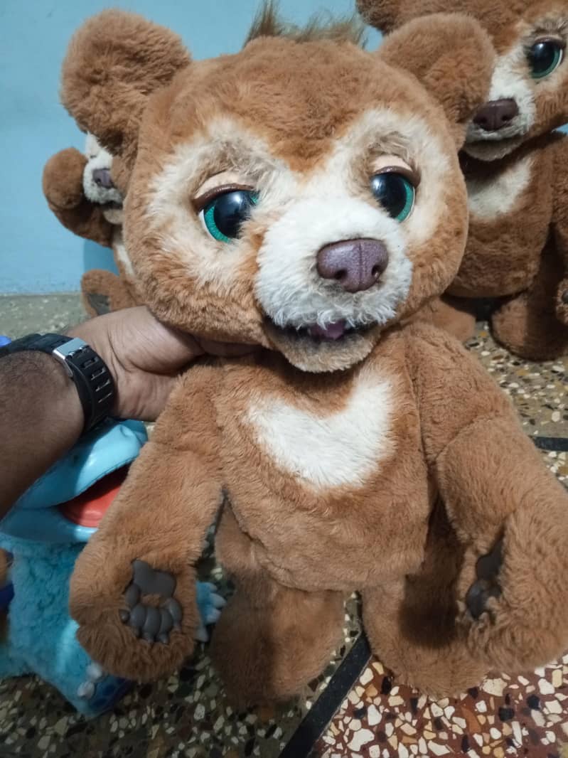 chubby the curious bear 4