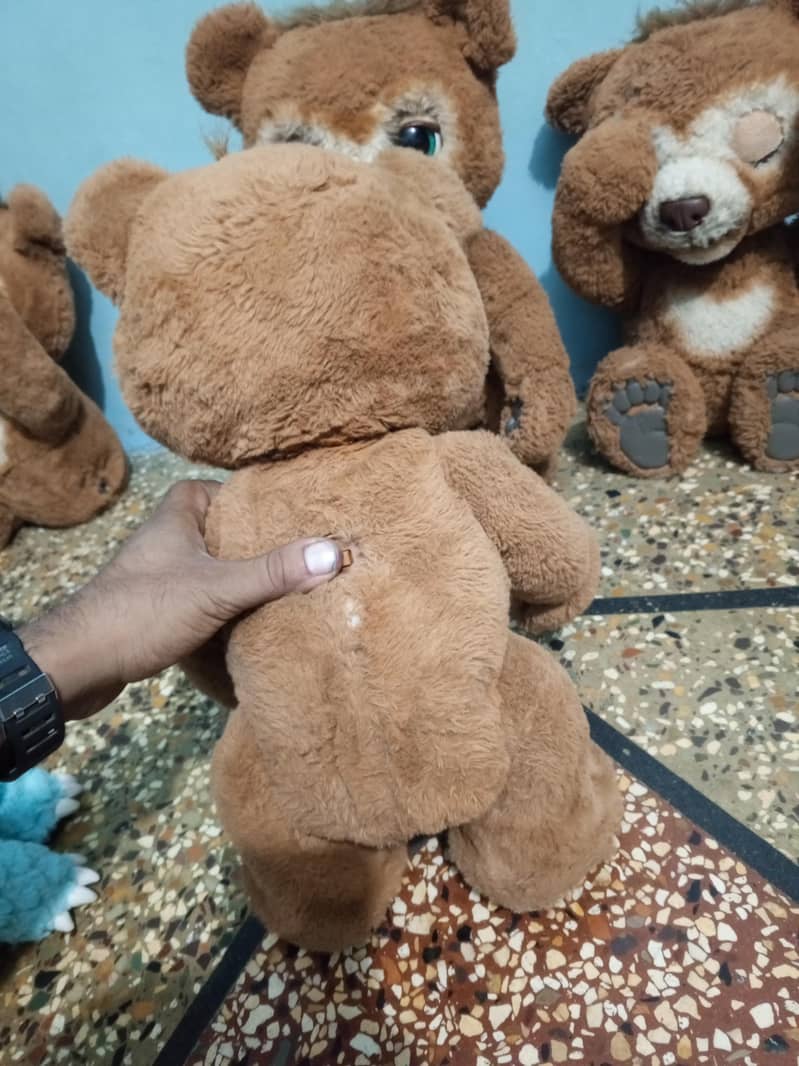 chubby the curious bear 5