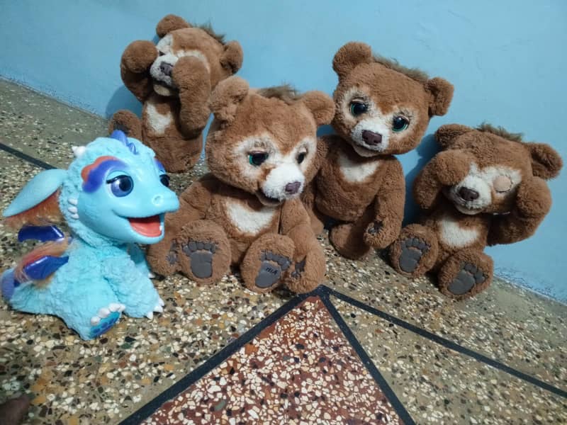 chubby the curious bear 6
