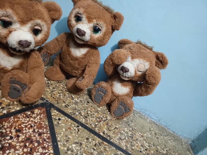 chubby the curious bear 7