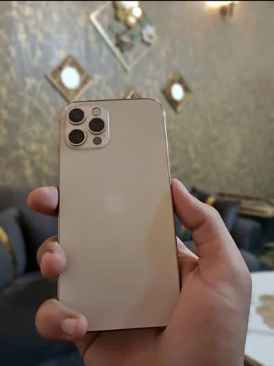 Apple iPhone 12 Pro pta