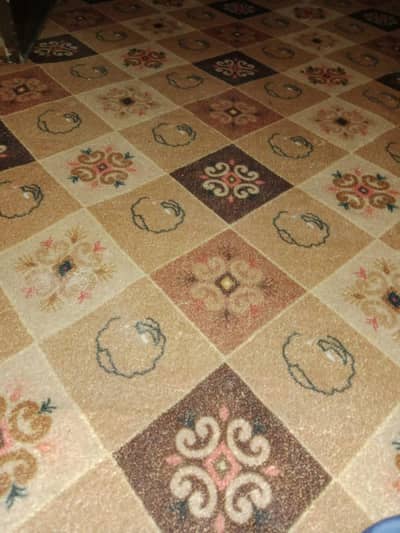 Carpet for room