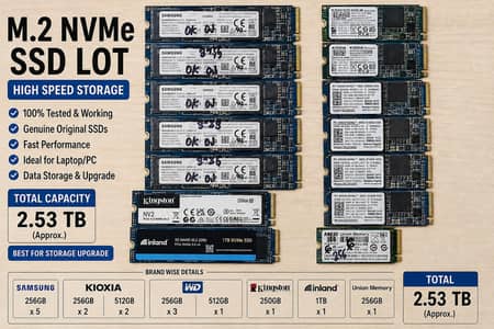 256 NVMe SSD