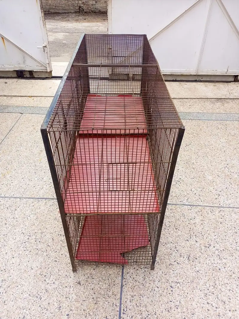 Cage For Sale — photo 3