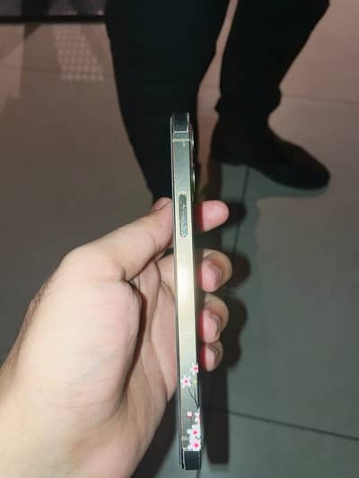 Apple iPhone 12 Pro
