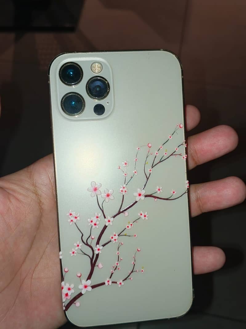 Apple iPhone 12 Pro 4