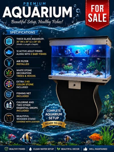  Beautiful Complete Aquarium Setup for Sale 