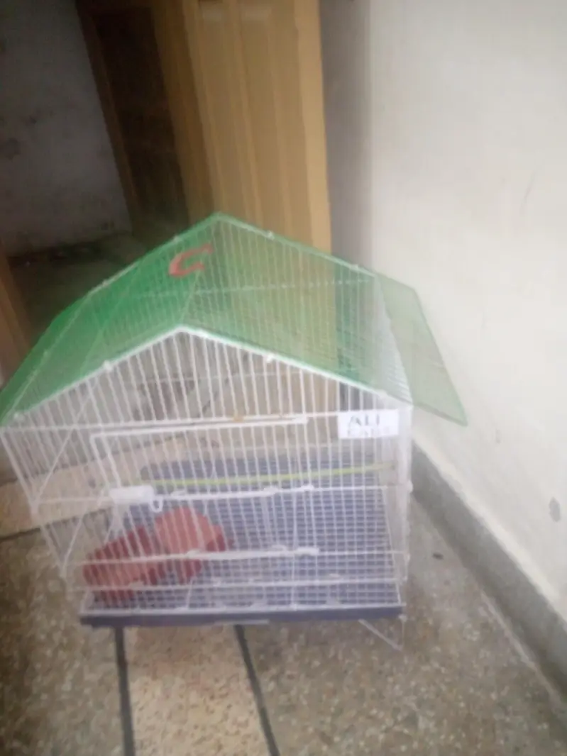 cage for sale