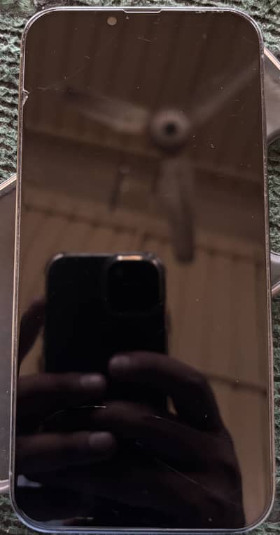 Apple iPhone 13 Pro Max