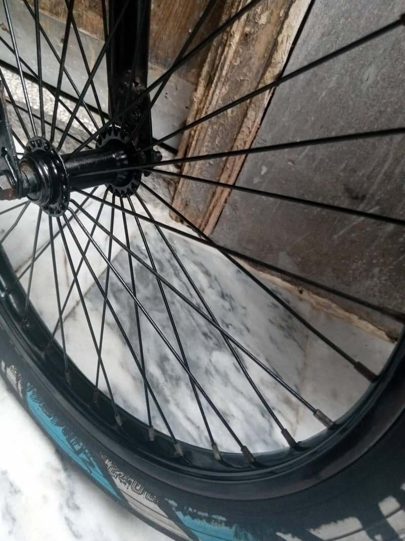 cycle   03216640646 2