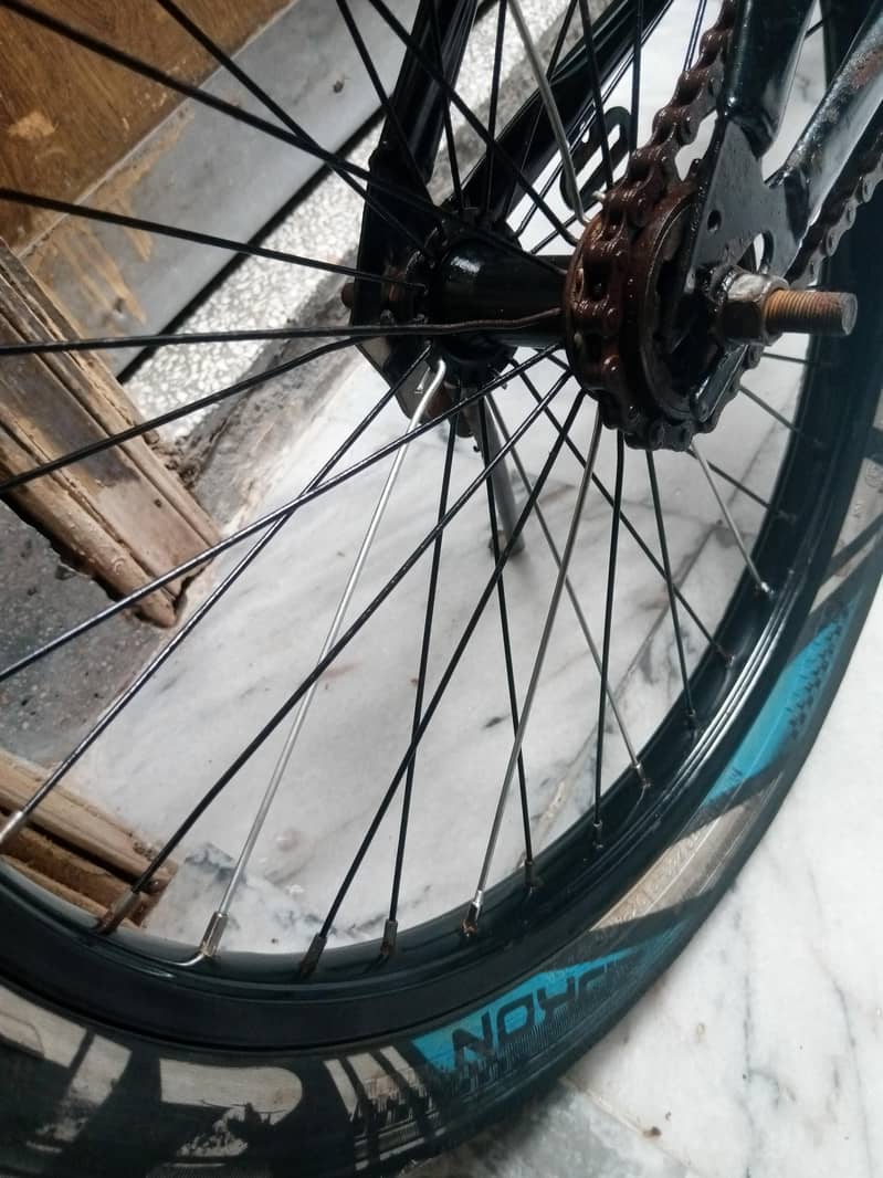 cycle   03216640646 4