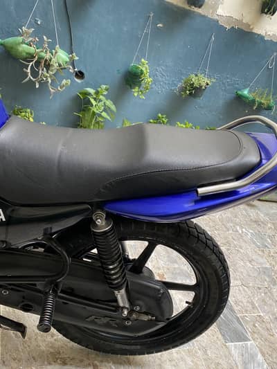 YBR 2019 model Purple color