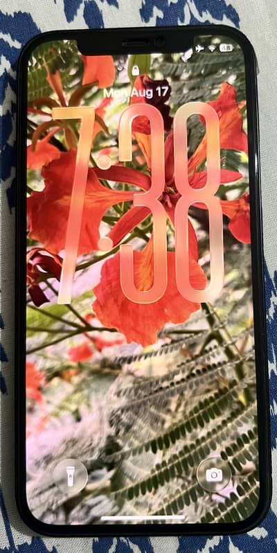 iPhone 12 64GB Factory Unlock | Non-PTA | 87% Battery