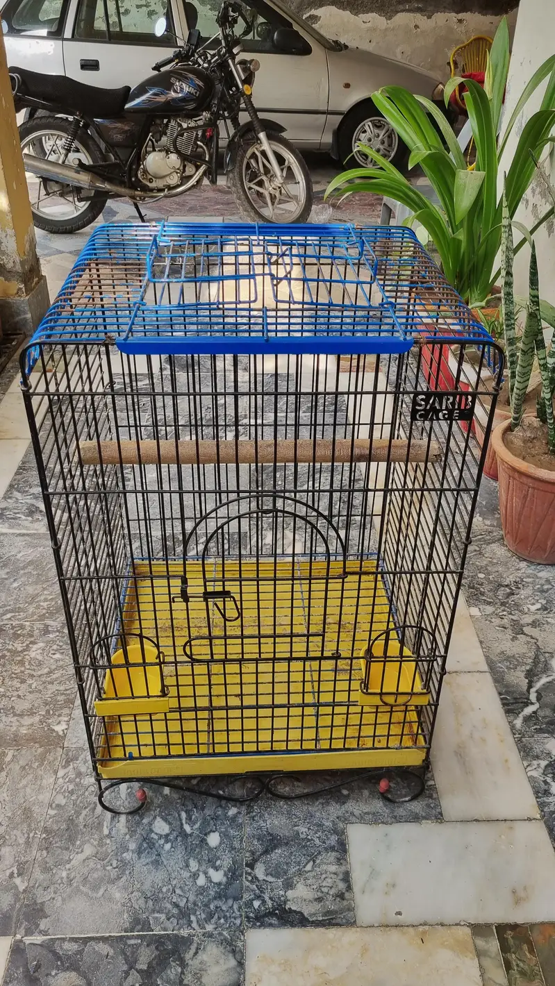 Cage for Big Parrot