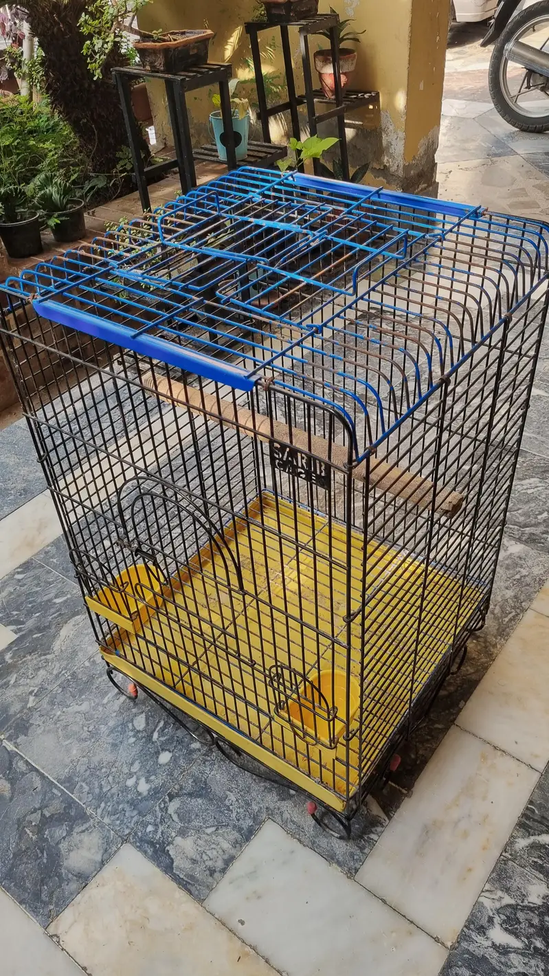 Cage for Big Parrot — photo 2