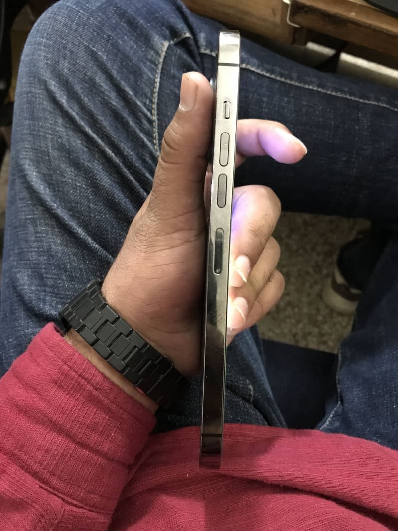 Apple iPhone 13 Pro Max 1
