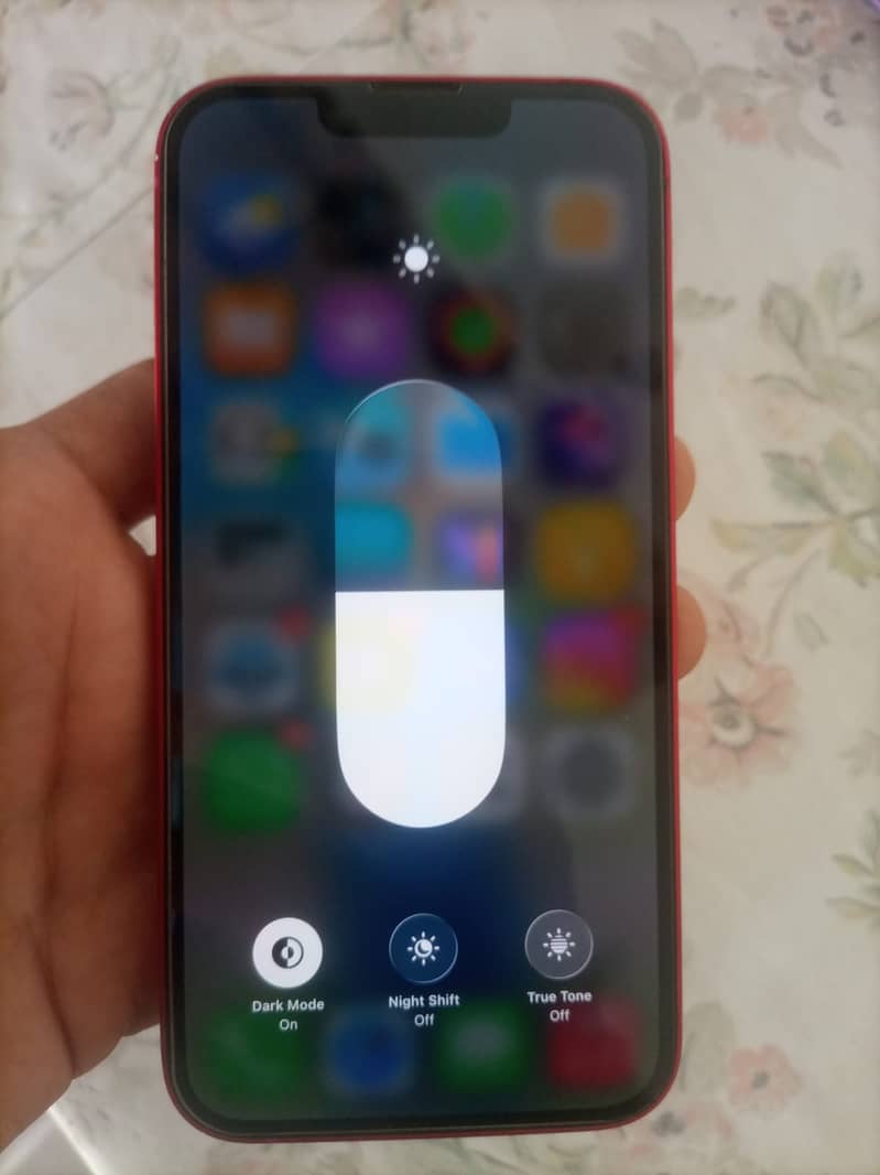 Apple iPhone 13 6