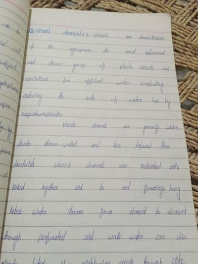 Assignment writing