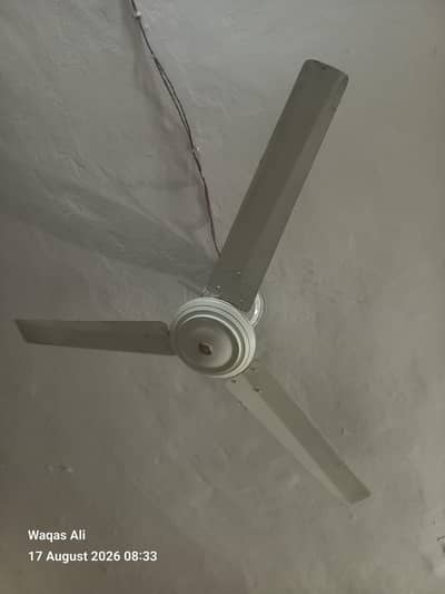 Ceiling Fan - White