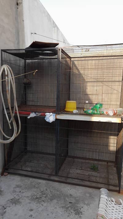Parrots cage For Sale 03110073948