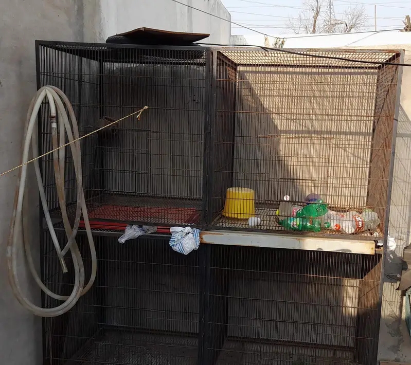 Parrots cage For Sale 03110073948 — photo 2
