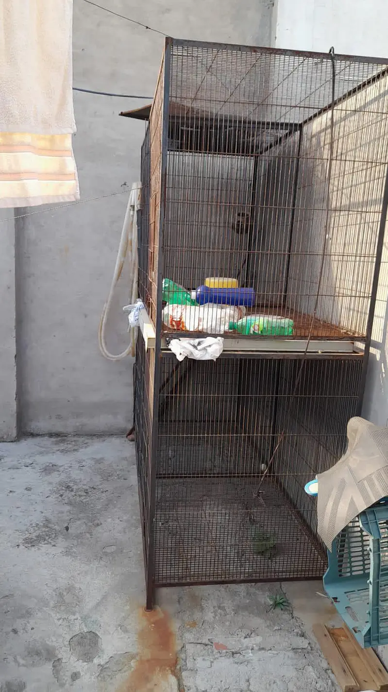 Parrots cage For Sale 03110073948 — photo 3